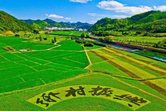 2021年农业农村这23项可申请项目补贴！