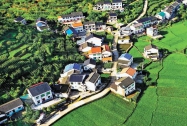 重要提醒：农村发展种植和养殖业要注意五大用地问题，违者损失惨重！