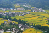 机构改革后农村经营管理部门的主要职能梳理