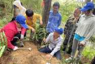 广西对农用地和部分未利用地土壤进行“全面体检”