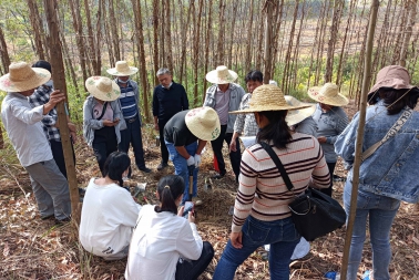 国务院第三次全国土壤普查领导小组办公室 关于土壤普查试点工作进展情况的通报