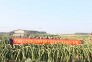 广西加快第三次全国土壤普查表层土壤调查与采样技术培训步伐
