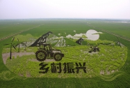 铆足干劲促振兴 ——广西全力以赴稳经济促发展系列报道之六