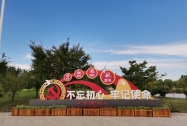 扎实迈向建设农业强国目标——中央一号文件专家谈
