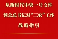 第一观察丨从新时代中央一号文件领会总书记对“三农”工作战略指引