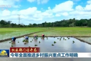 权威部门话开局丨今年全面推进乡村振兴重点工作明确