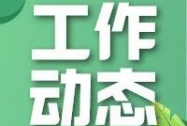 2023年全面推进乡村振兴重点工作怎么干
