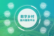 科技赋能，为乡村振兴插上“数字翅膀”