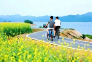 乡村振兴关键在产业振兴