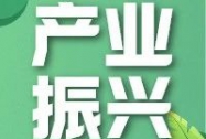 临桂区奏响乡村振兴“进行曲”