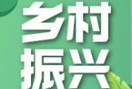 全面推进乡村振兴