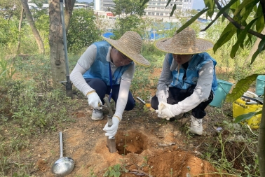 西乡塘区有序开展第三次全国土壤普查外业调查采样工作