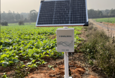 广西土壤墒情简报2025年第9期（总第329期）